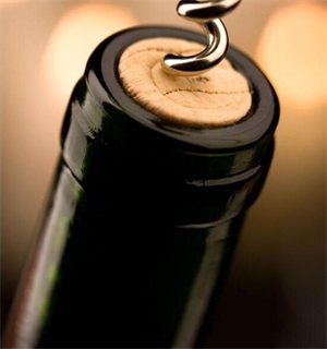 wine bottle with cork
